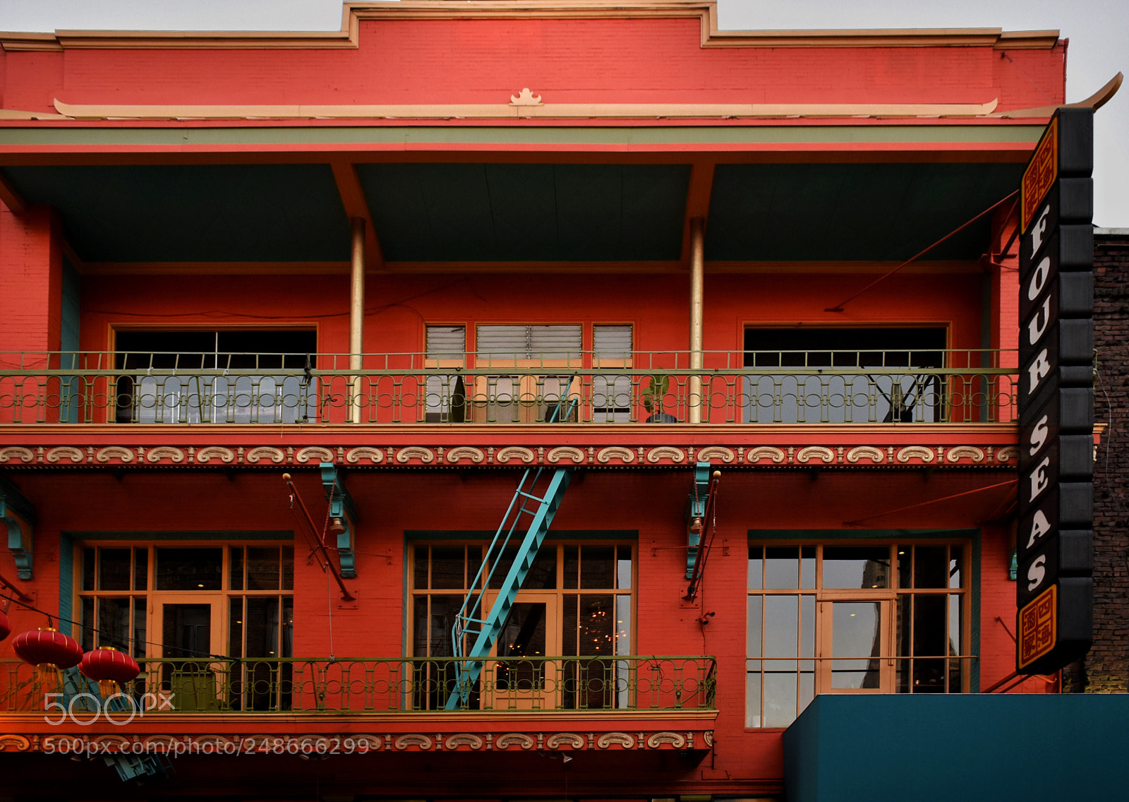 Nikon D5600 sample photo. Paint it red photography