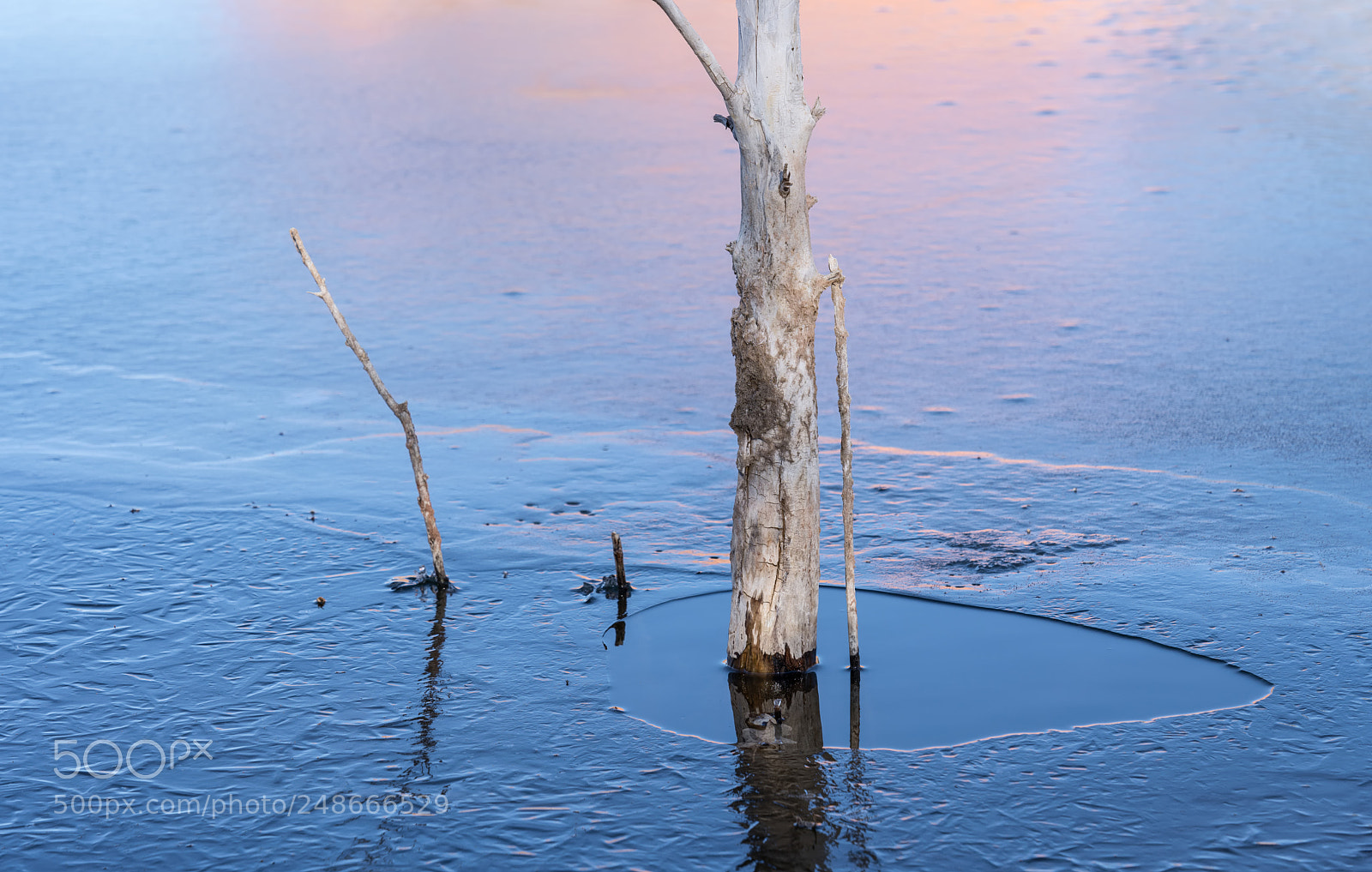 Sony a7R III sample photo. Frozen in place photography