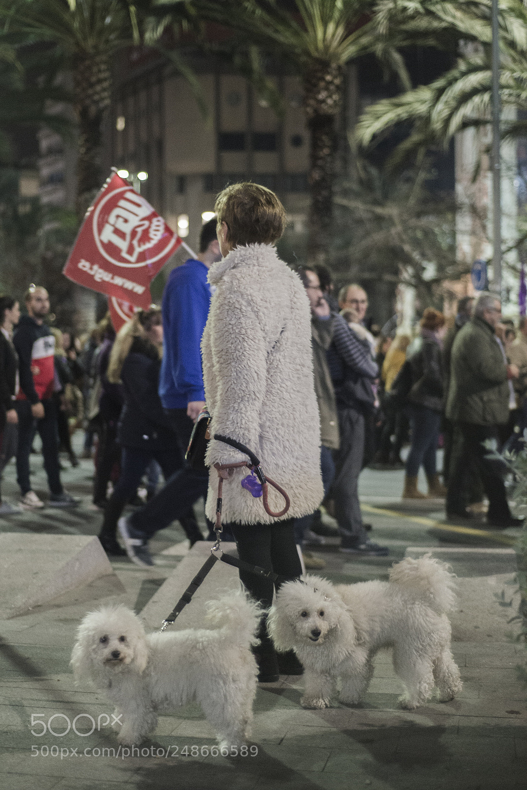 Nikon D610 sample photo. #8m - alicante photography