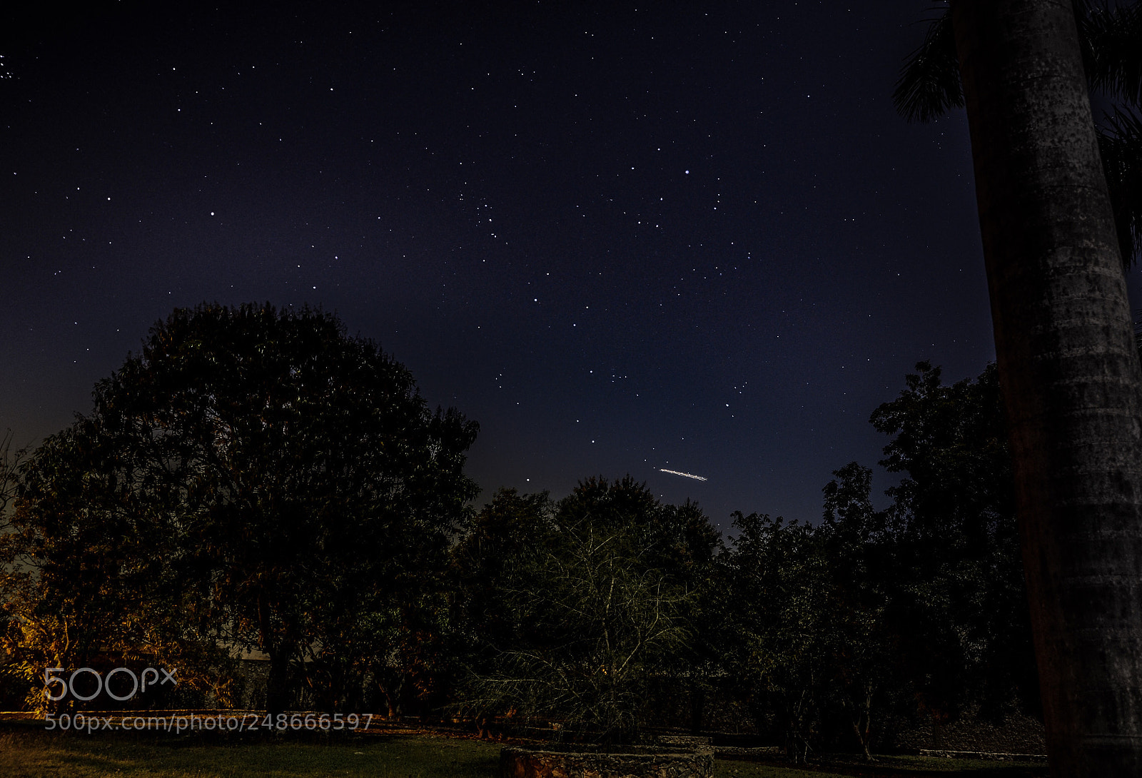 Nikon D5100 sample photo. Nights... photography