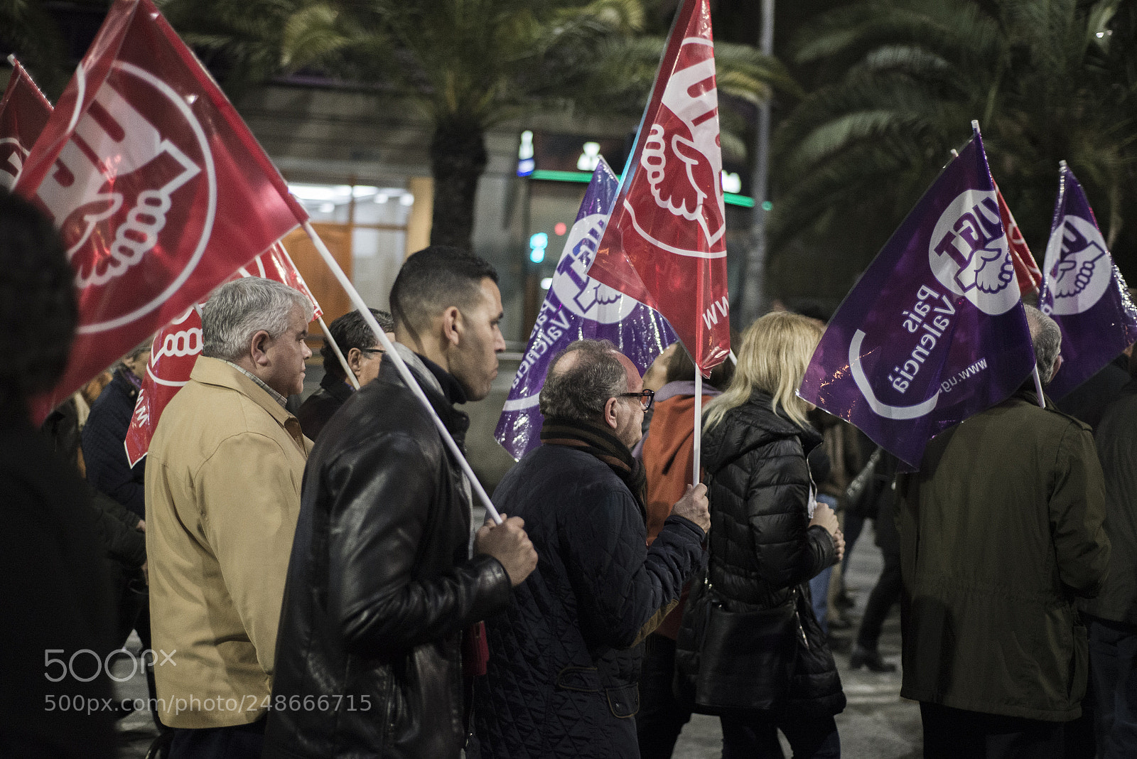 Nikon D610 sample photo. #8m - alicante photography