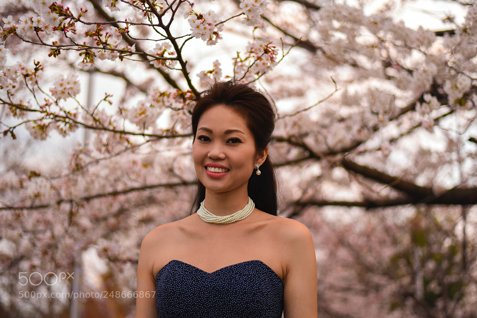 Nikon D810 sample photo. A taiwanese princes visits photography