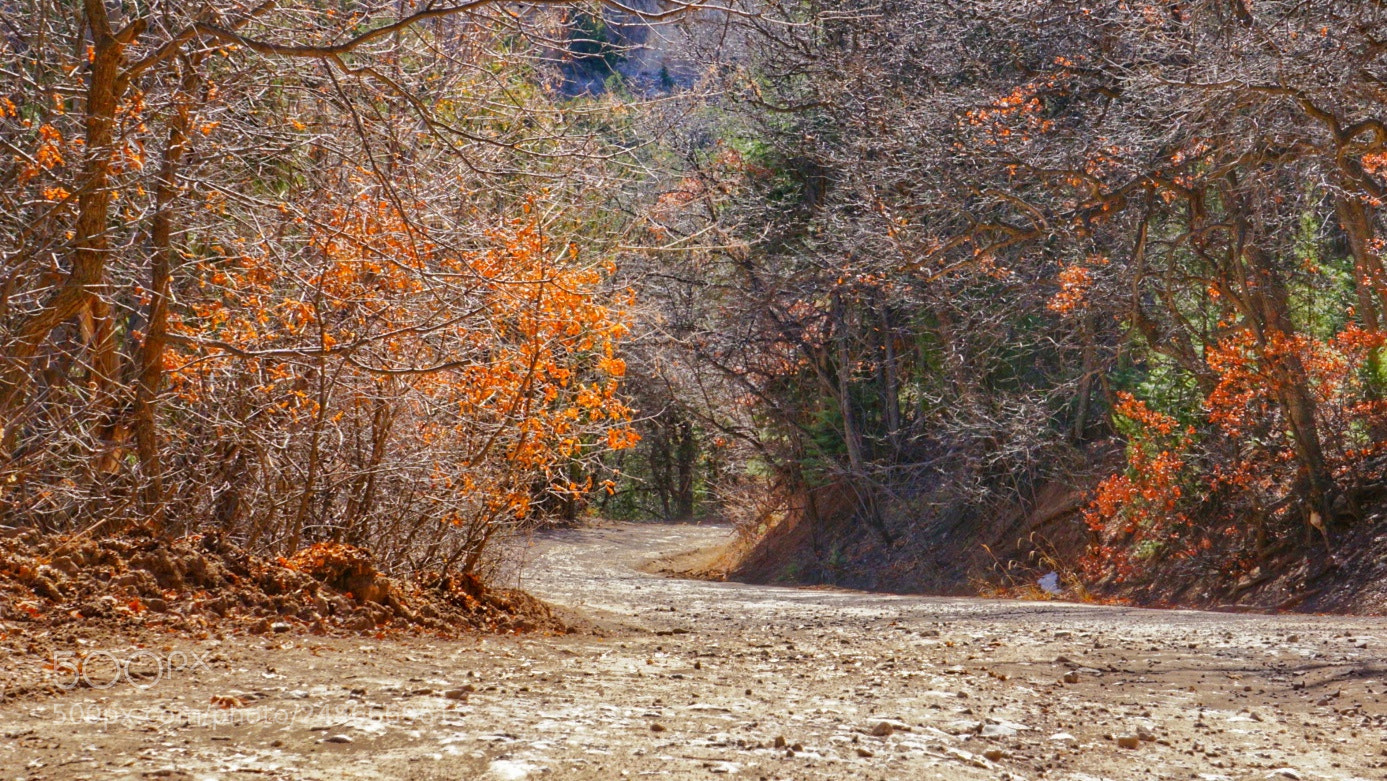 Sony a6000 sample photo. Untitled photography