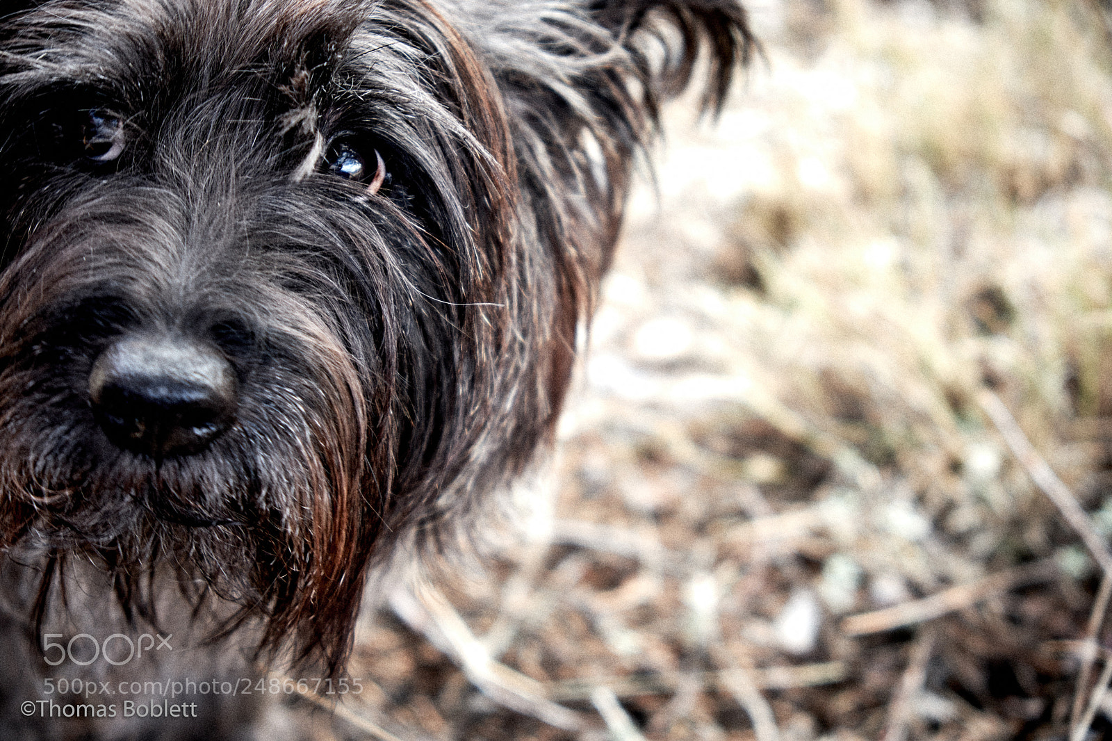 Fujifilm X-T2 sample photo. Hopper photography