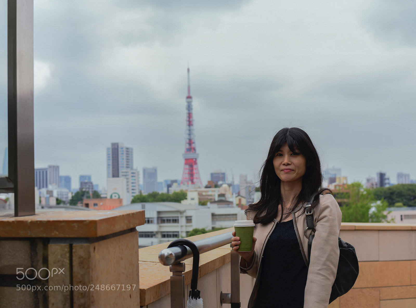 Nikon D810 sample photo. Tokyo tower on a photography