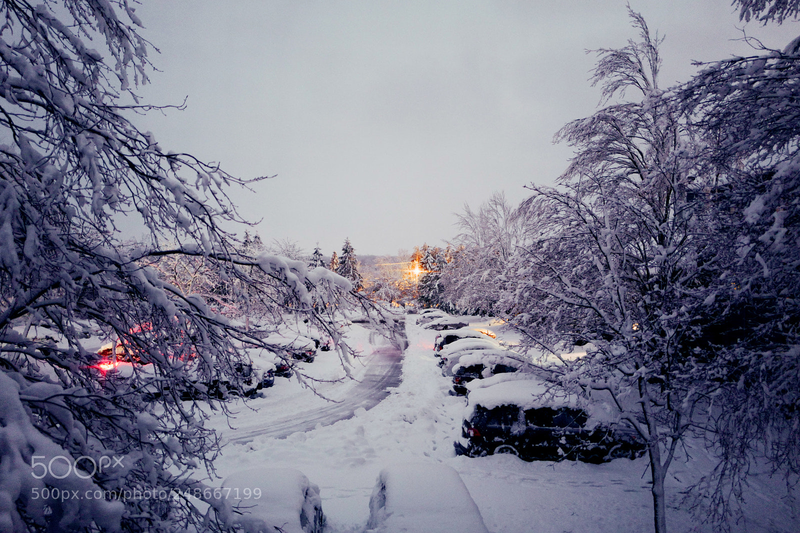 Leica Q (Typ 116) sample photo. Snow day photography