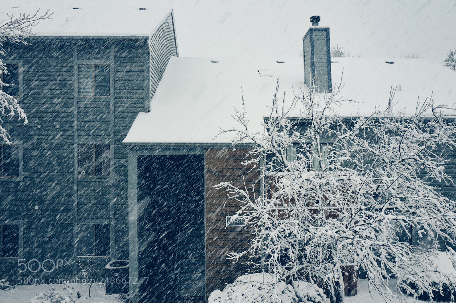 Leica Q (Typ 116) sample photo. Snow day photography