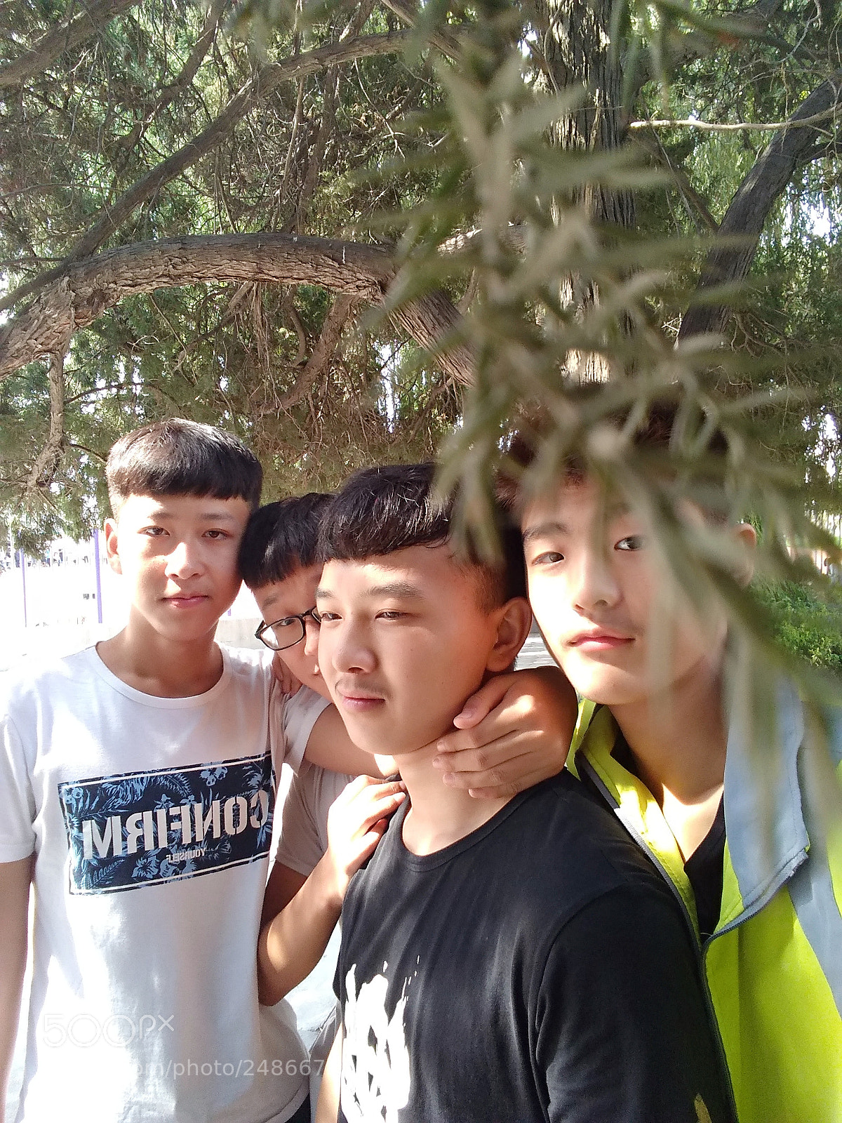 Xiaomi MI MAX 2 sample photo. Untitled photography