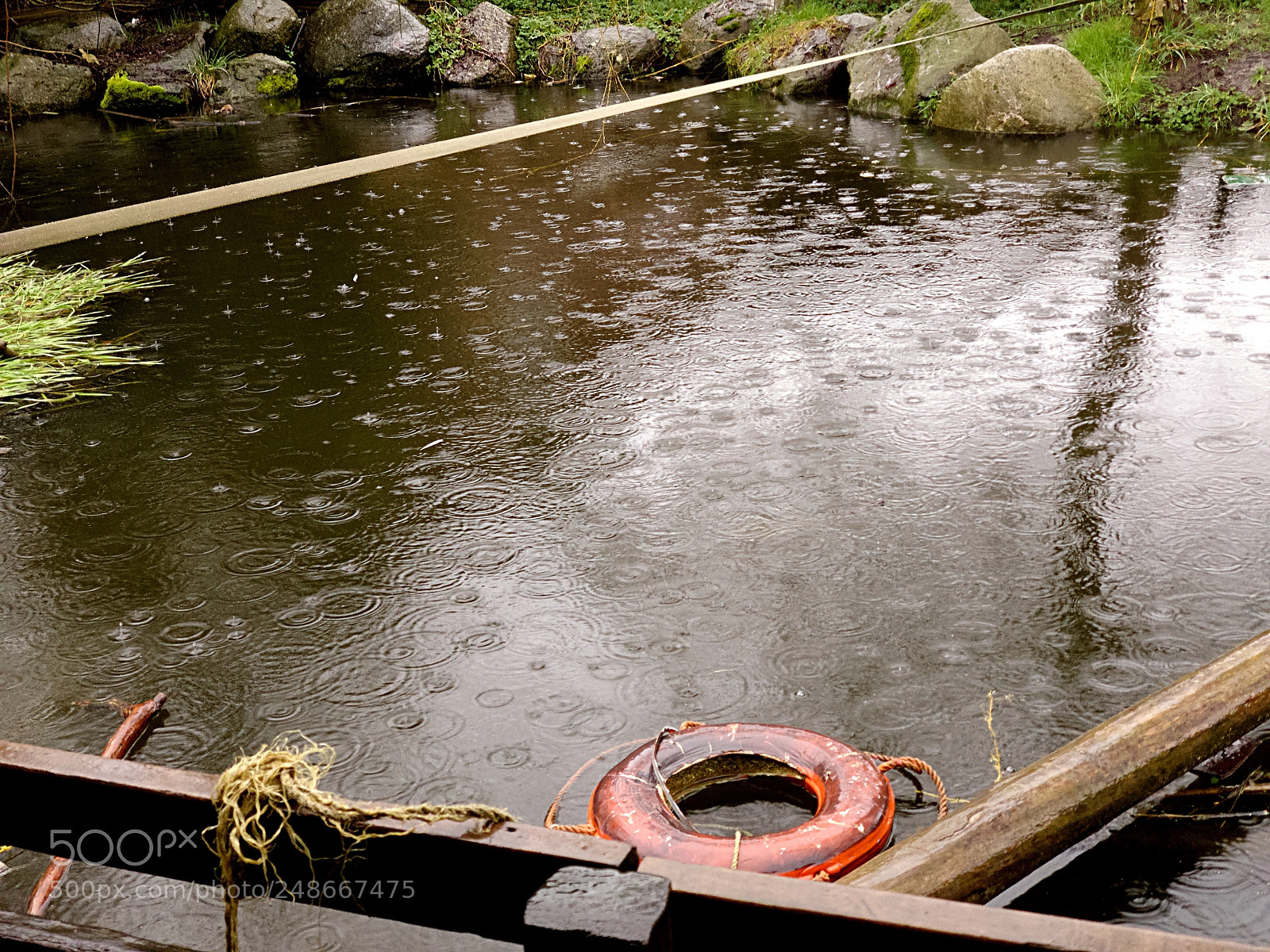 Apple iPhone X sample photo. Vancouver pond photography