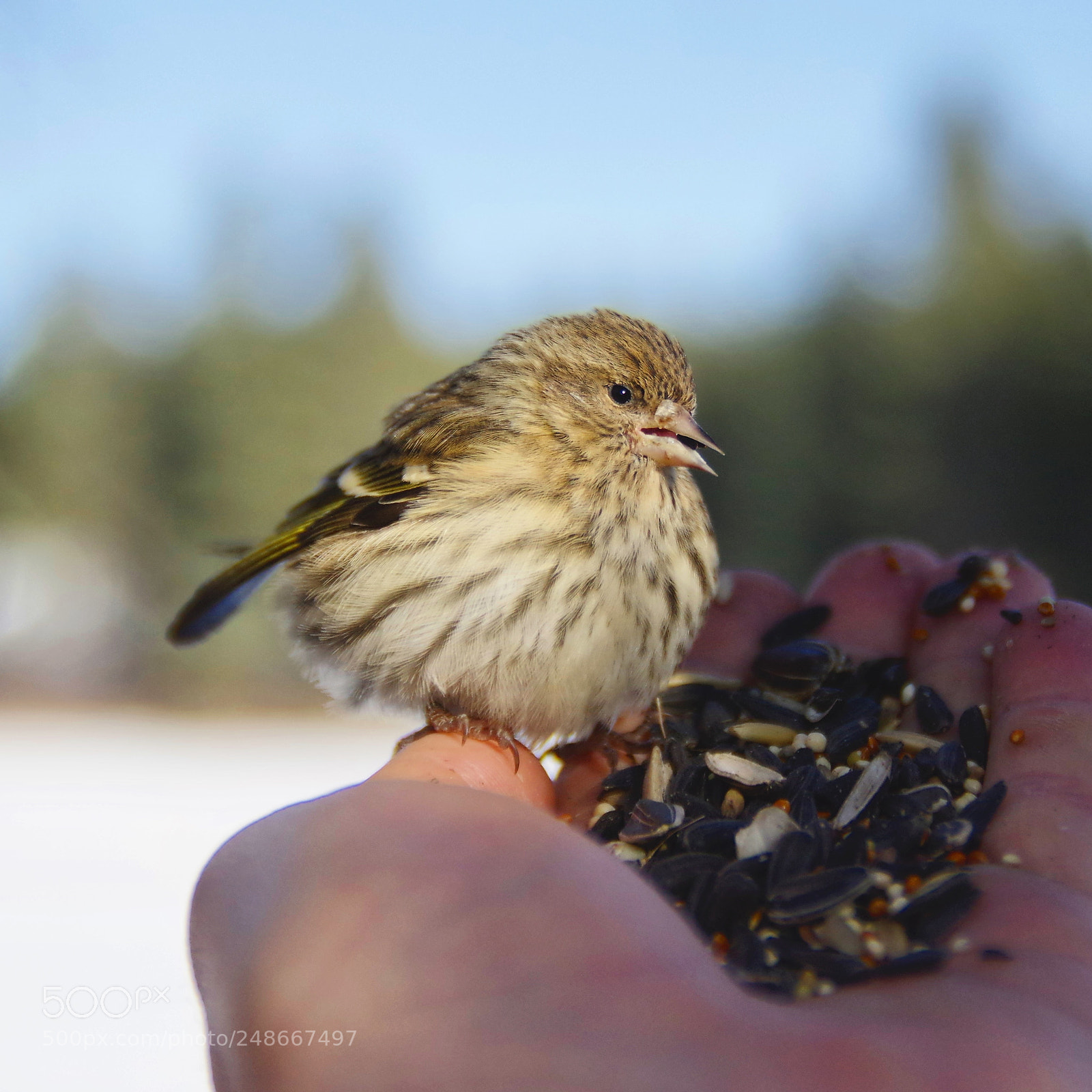 Pentax K-3 sample photo. Untitled photography