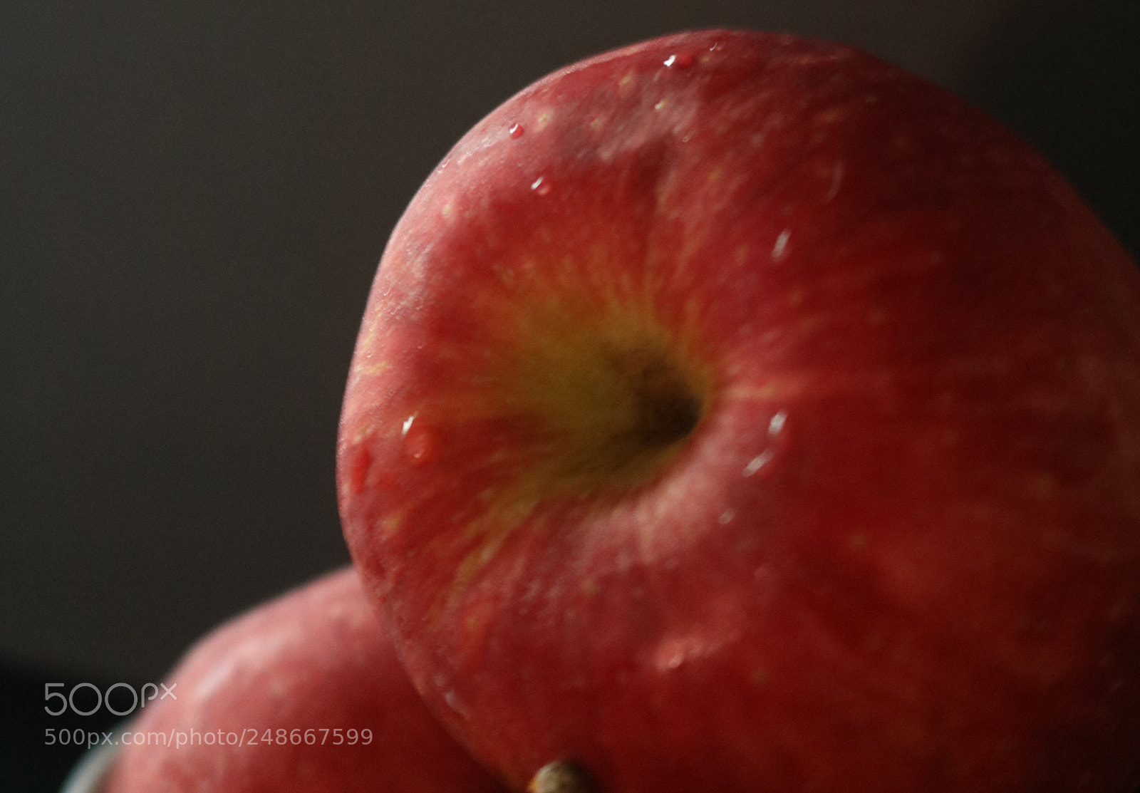Canon EOS 750D (EOS Rebel T6i / EOS Kiss X8i) sample photo. Llamative red photography