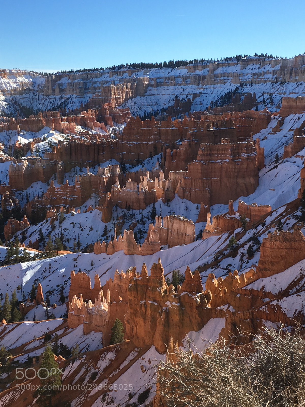 Apple iPhone 6s sample photo. Bryce in the snow photography