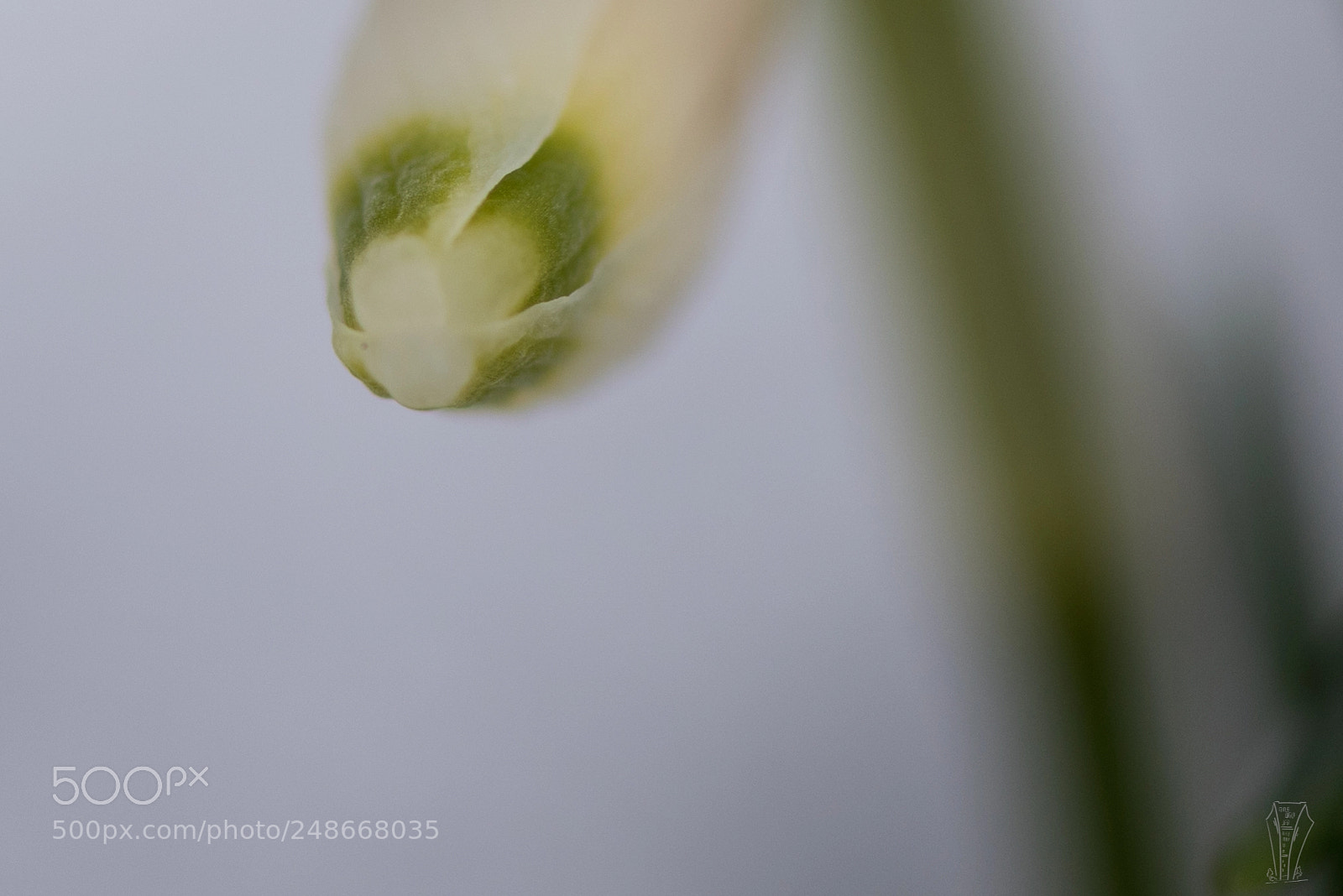 Nikon D810 sample photo. Untitled photography