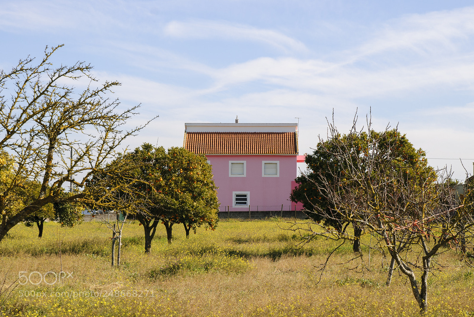 Nikon D80 sample photo. Pink house photography