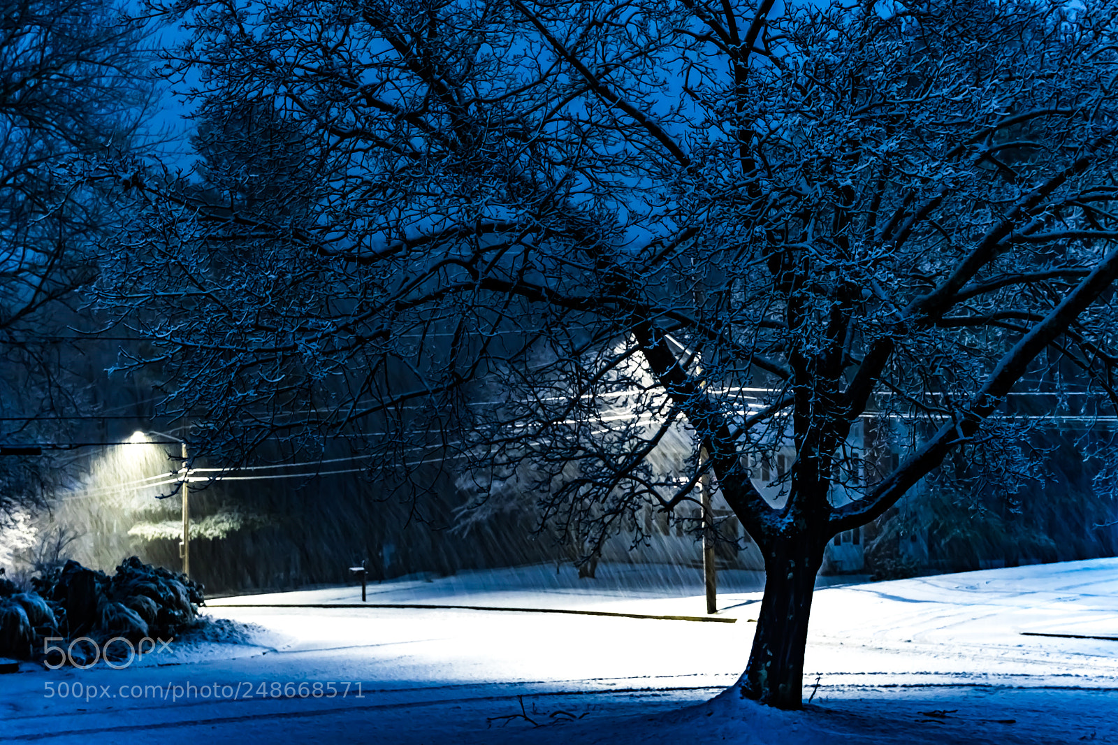 Canon EOS 750D (EOS Rebel T6i / EOS Kiss X8i) sample photo. March nor'easter photography