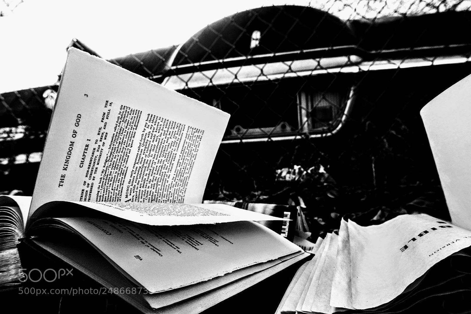 Sony Alpha a5000 (ILCE 5000) sample photo. Untitled photography