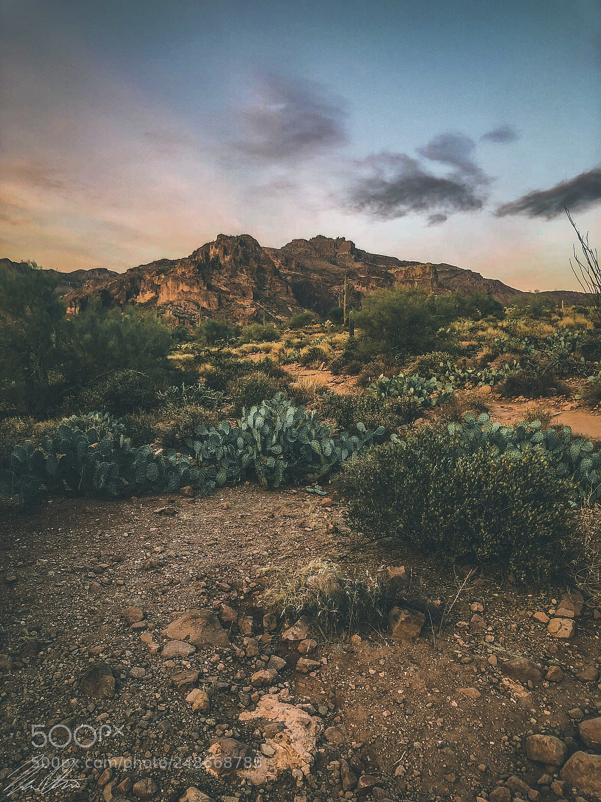 Apple iPhone 8 Plus sample photo. Gold mine trail, az. photography