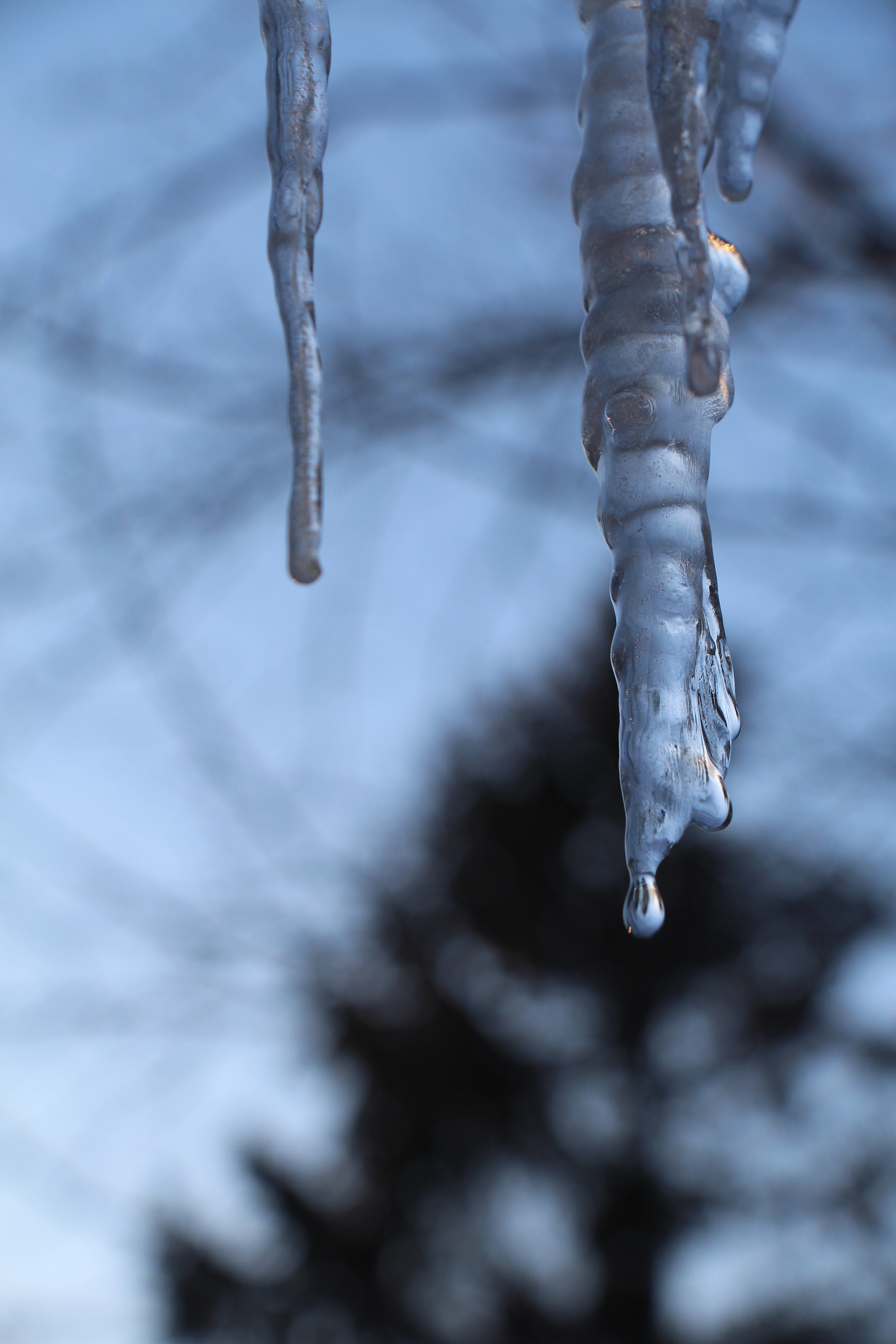 Canon EOS 700D (EOS Rebel T5i / EOS Kiss X7i) sample photo. 3059 photography