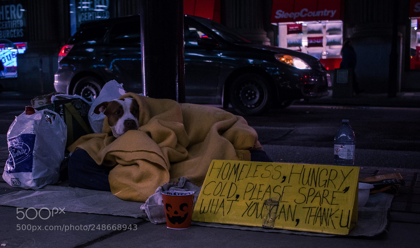 Canon EOS 700D (EOS Rebel T5i / EOS Kiss X7i) sample photo. Homeless doggo photography