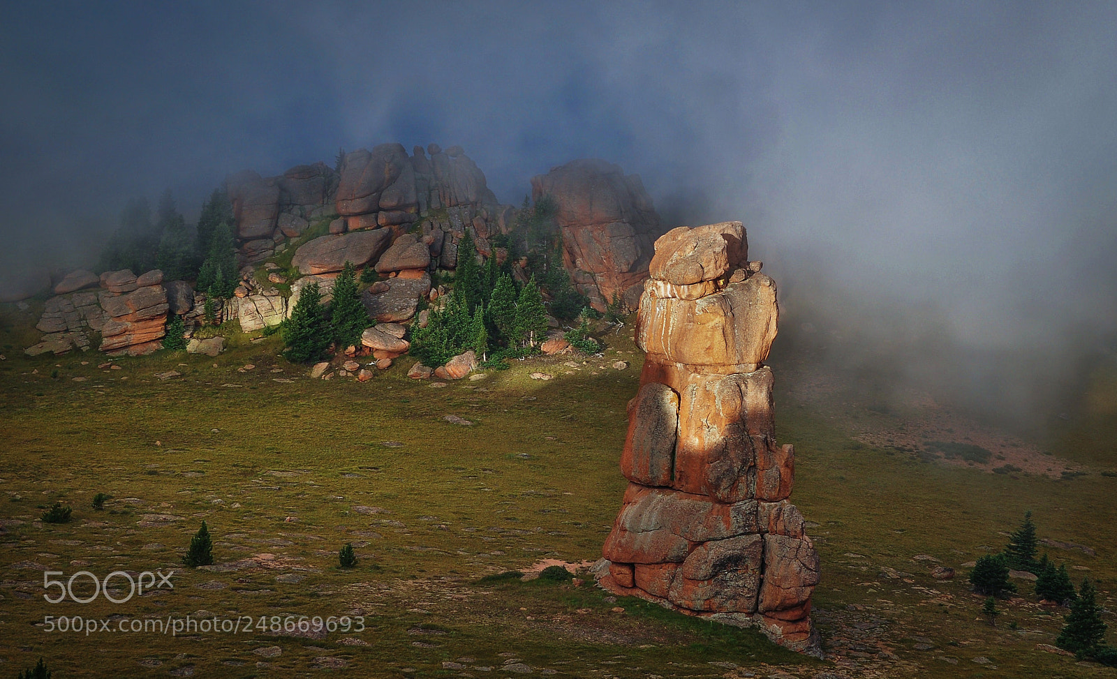 Nikon D5000 sample photo. First light on foggy photography