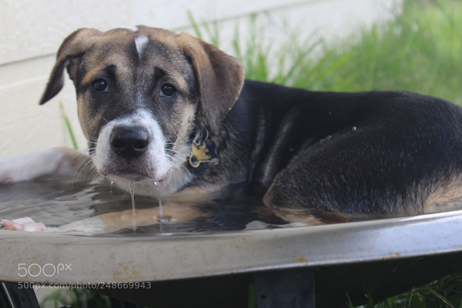 Canon EOS 1200D (EOS Rebel T5 / EOS Kiss X70 / EOS Hi) sample photo. Gypsy photography