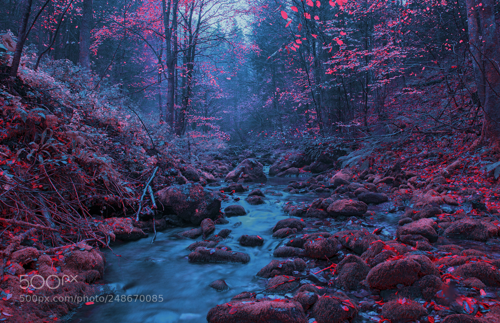 Nikon D610 sample photo. Mountain river photography
