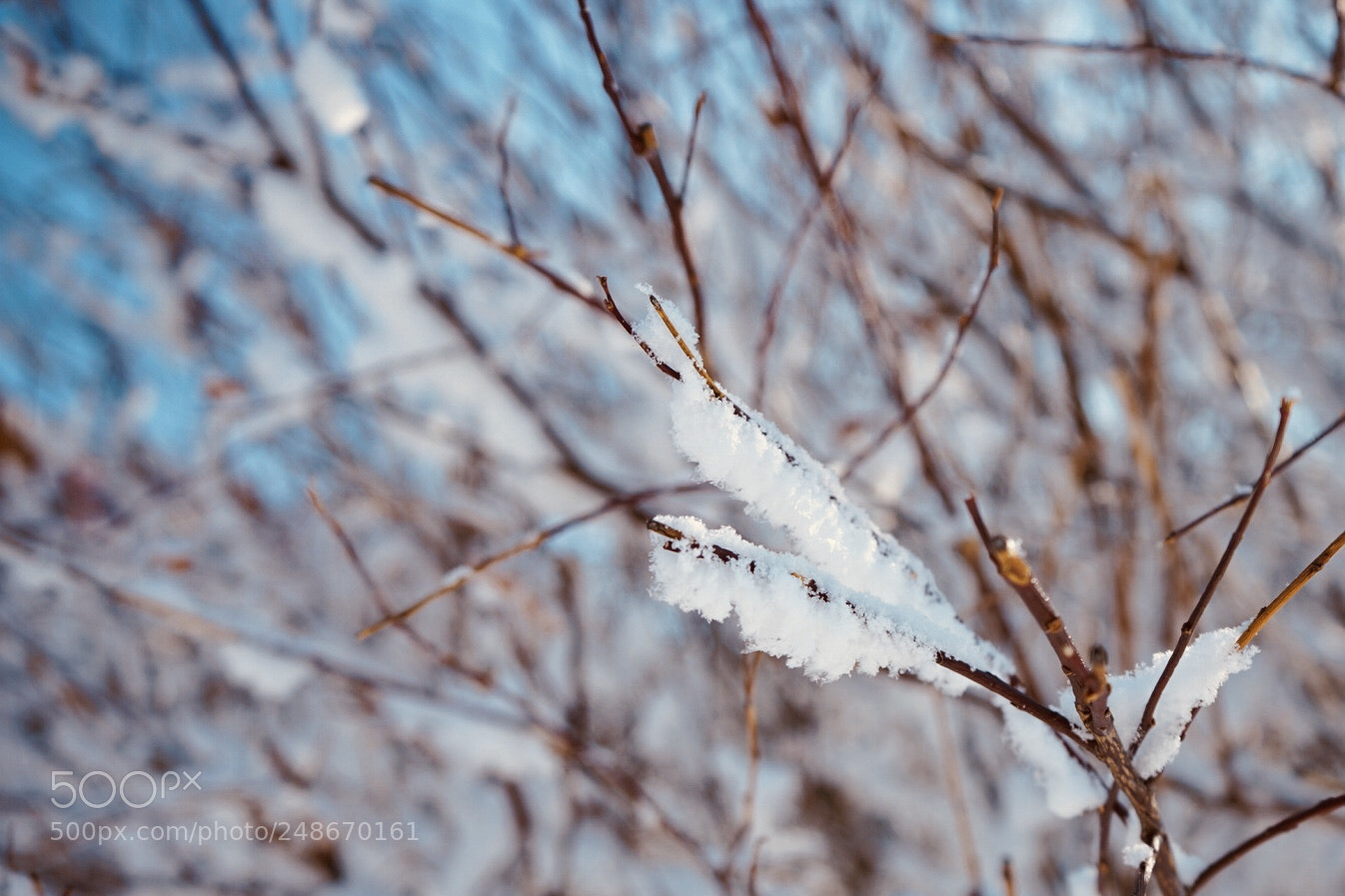Sony a7 II sample photo. Untitled photography