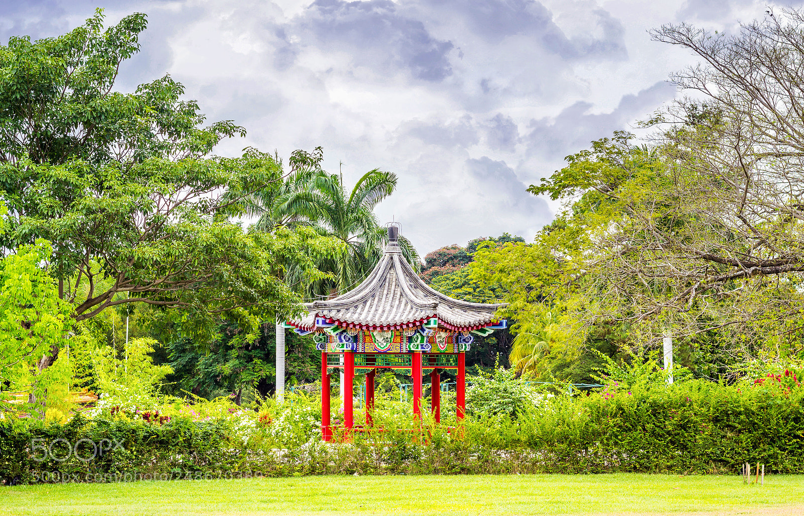 Canon EOS 600D (Rebel EOS T3i / EOS Kiss X5) sample photo. The chinese garden (jamaica) photography