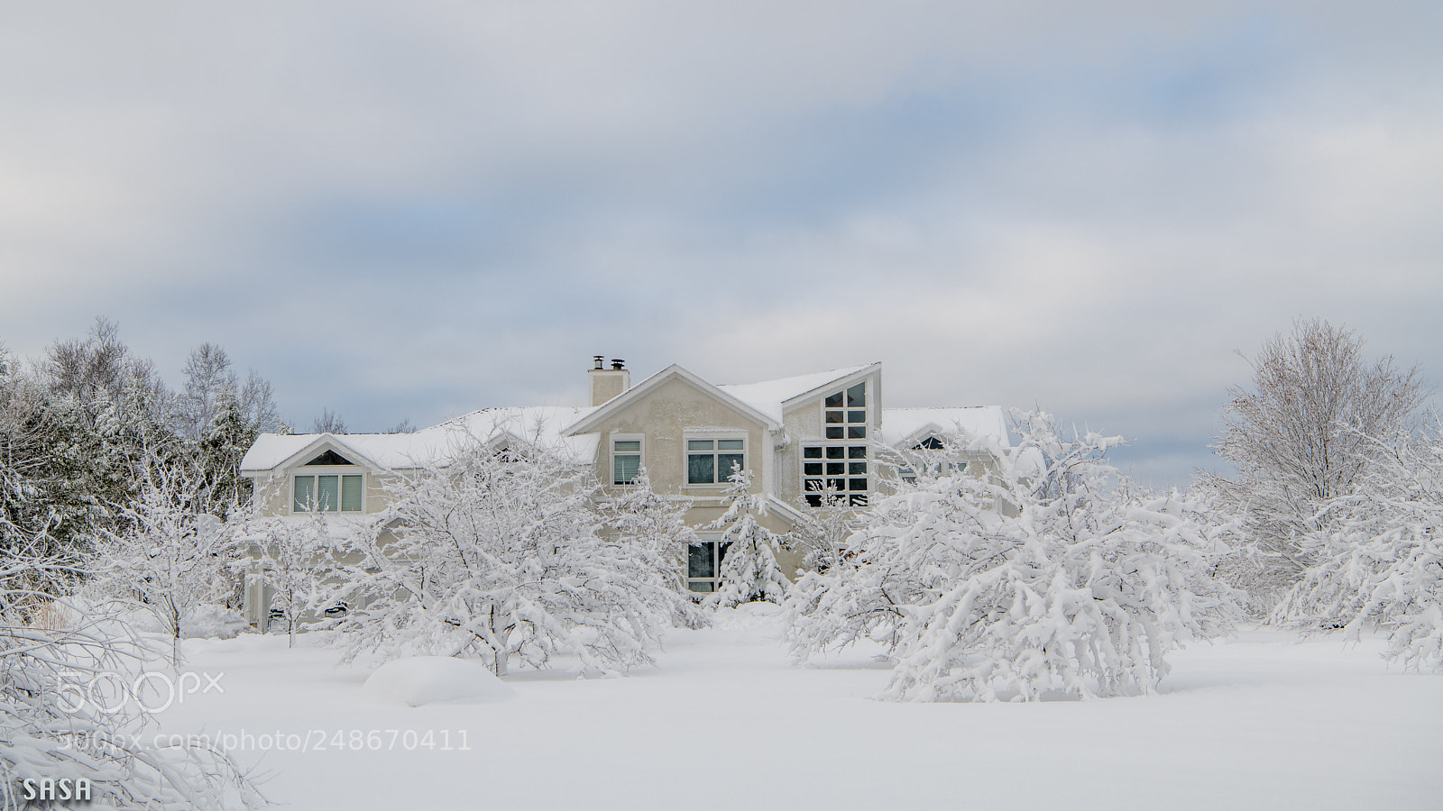 Nikon D850 sample photo. Winter wonderland photography