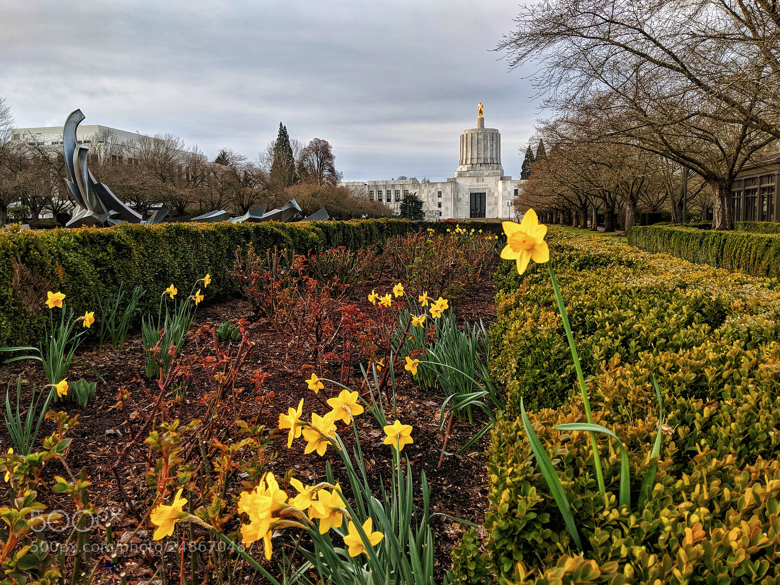 Google Pixel 2 sample photo. Morning capitol 372018 photography