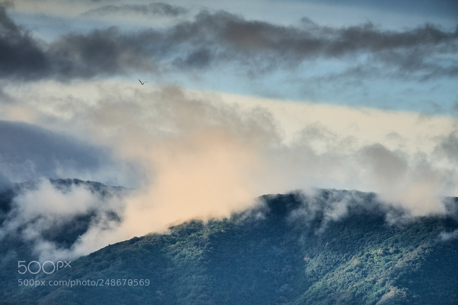 Fujifilm X-T2 sample photo. Clouds on mount umunhum photography