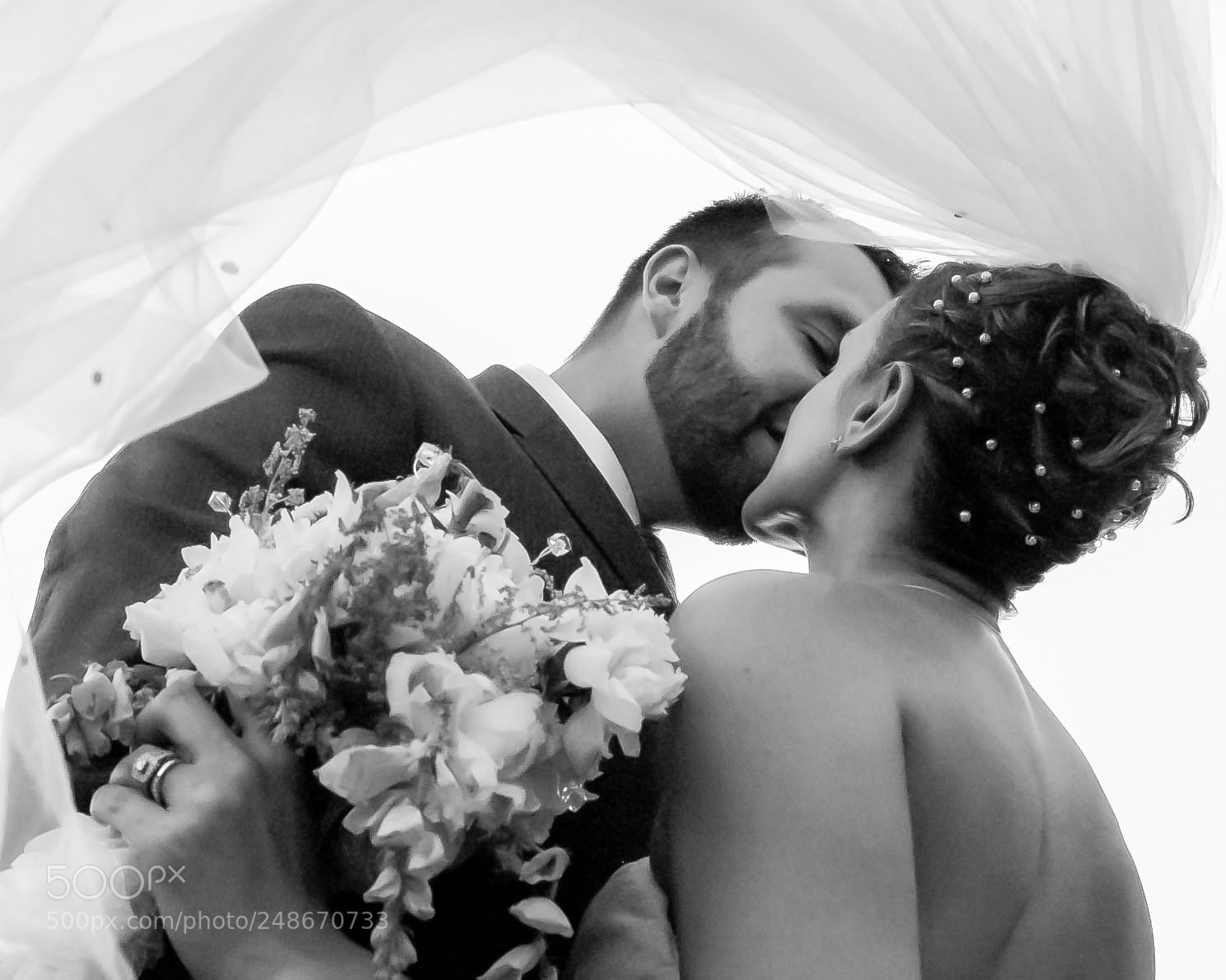 Nikon D70 sample photo. A veil to frame photography