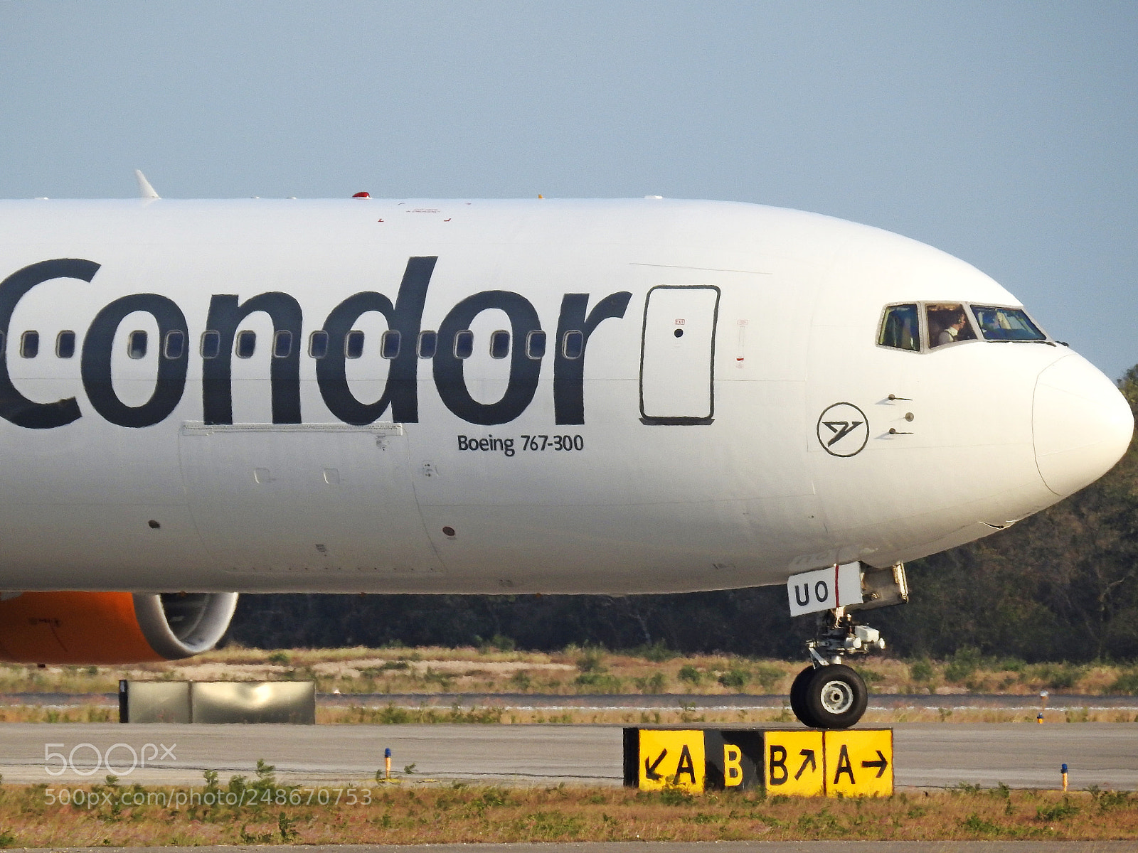 Nikon Coolpix P900 sample photo. Condor 767 mmmd photography