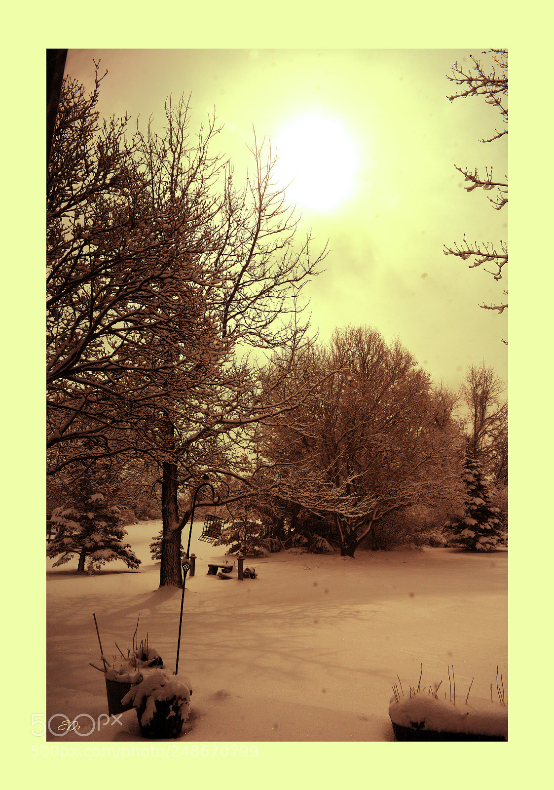 Nikon D7100 sample photo. Pastel photography