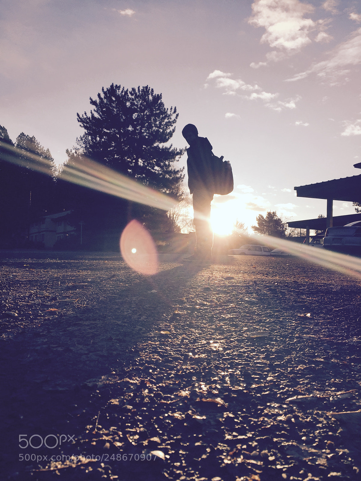 Apple iPhone 6 sample photo. Took this with my photography