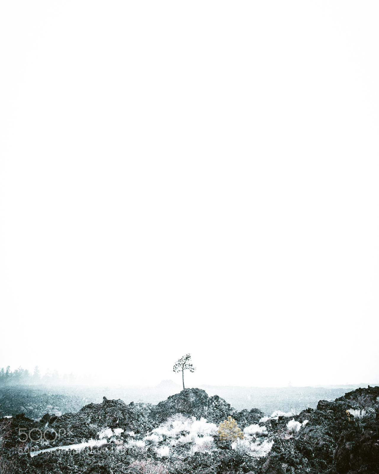 Nikon D810 sample photo. Lava lands photography
