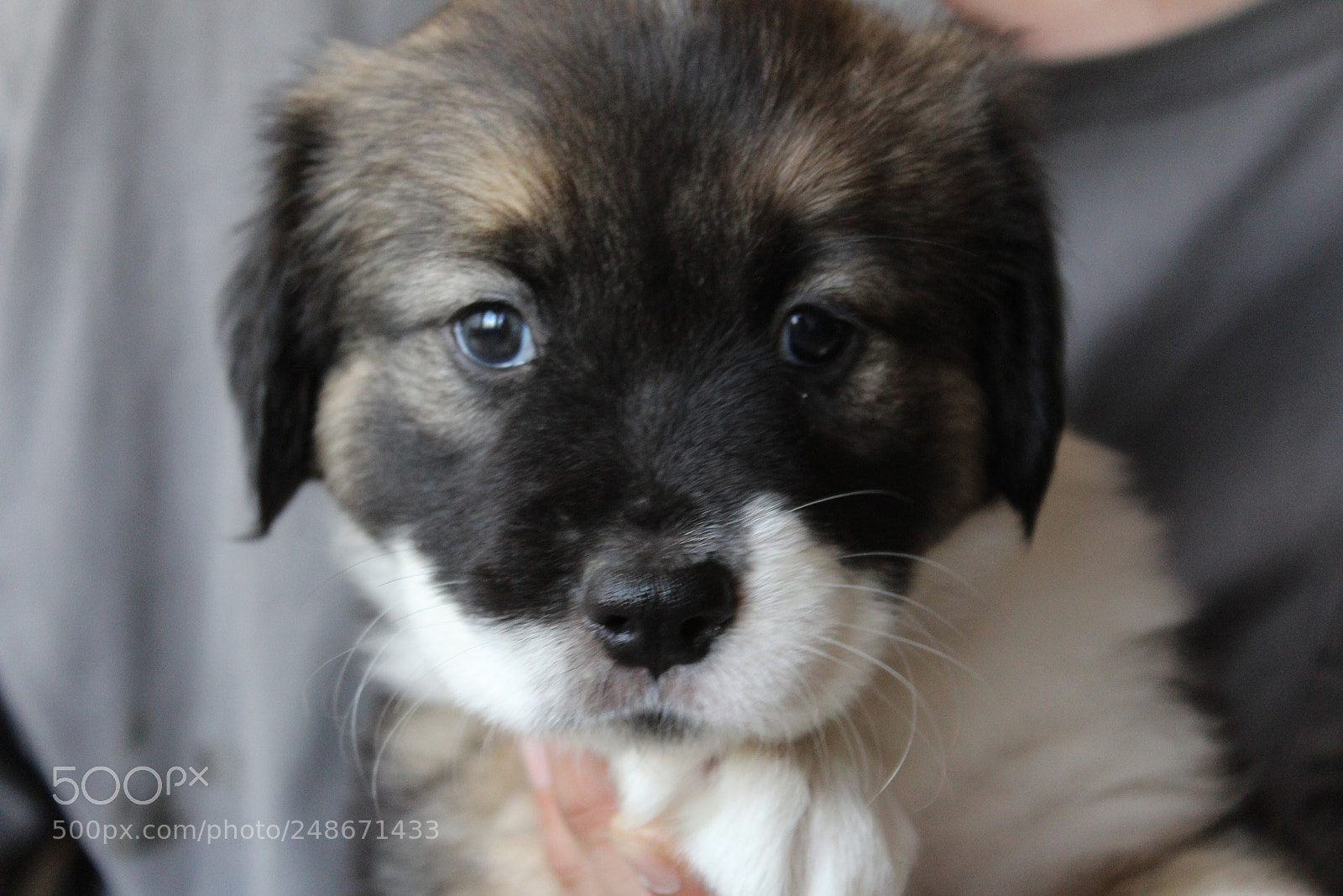 Canon EOS 1200D (EOS Rebel T5 / EOS Kiss X70 / EOS Hi) sample photo. Ms. ruby, jr. photography