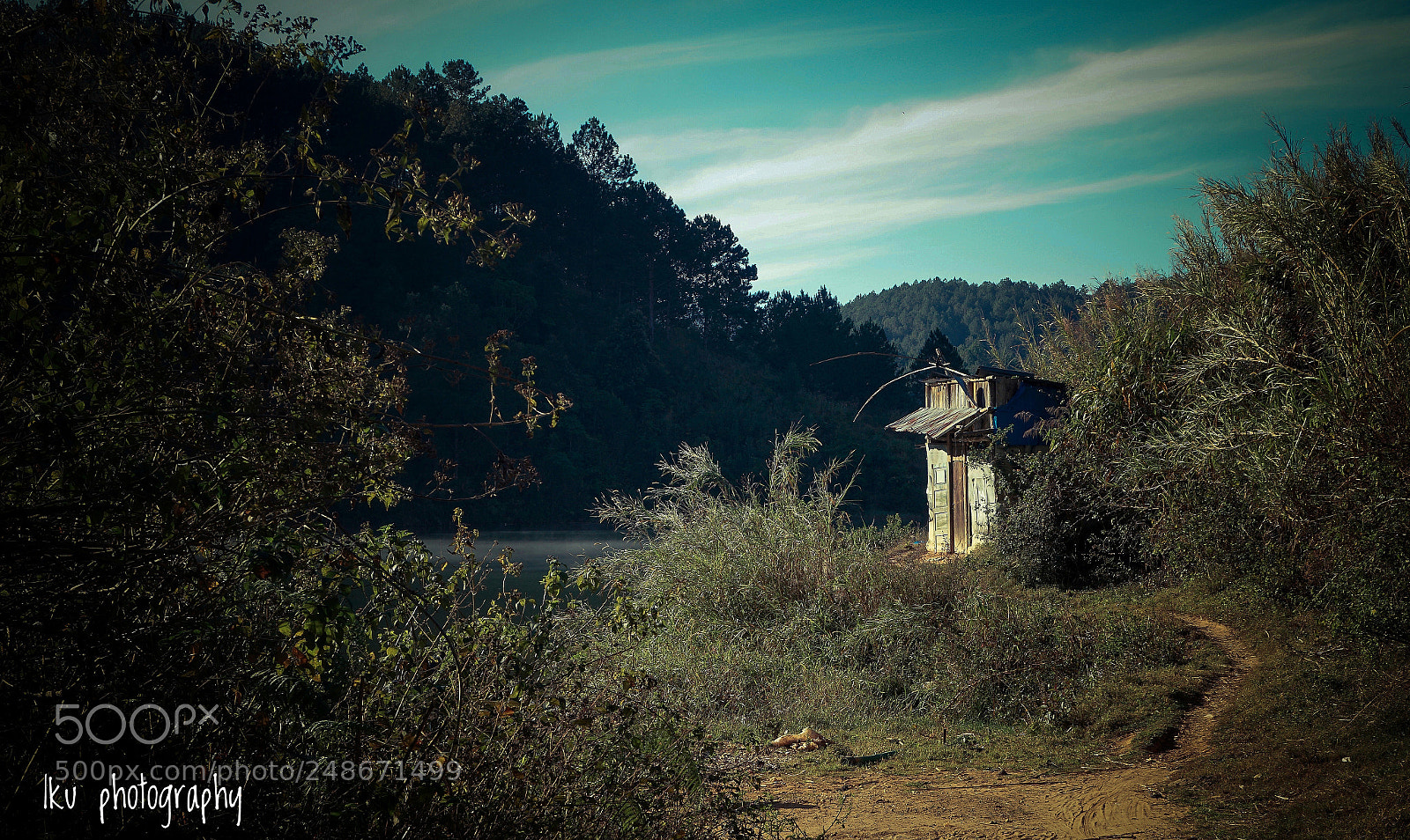 Sony a6000 sample photo. S o l i photography