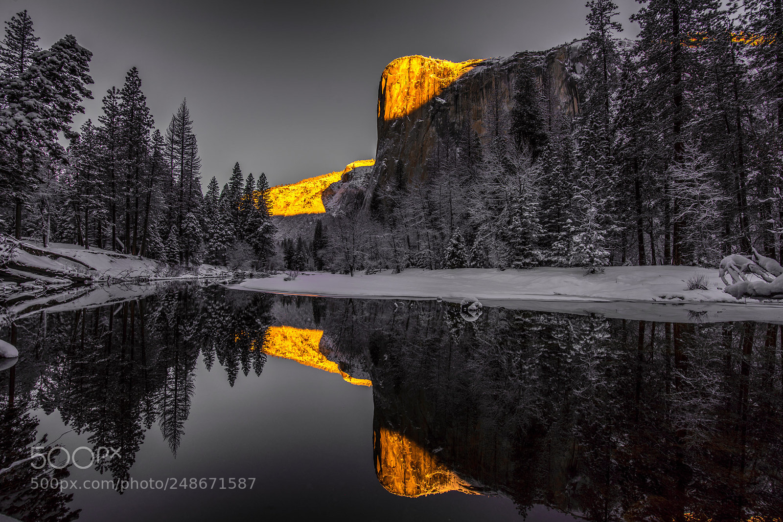 Nikon D810 sample photo. First light reflection photography