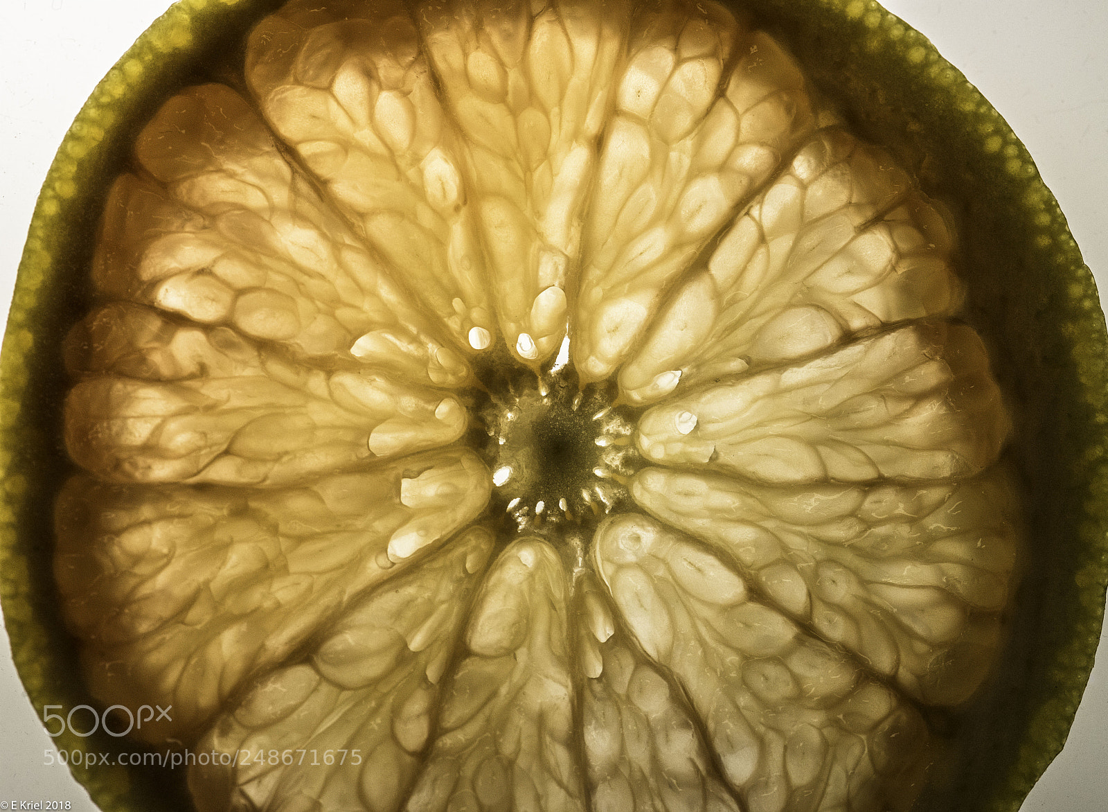 Nikon D810 sample photo. Fruit & bubbles photography