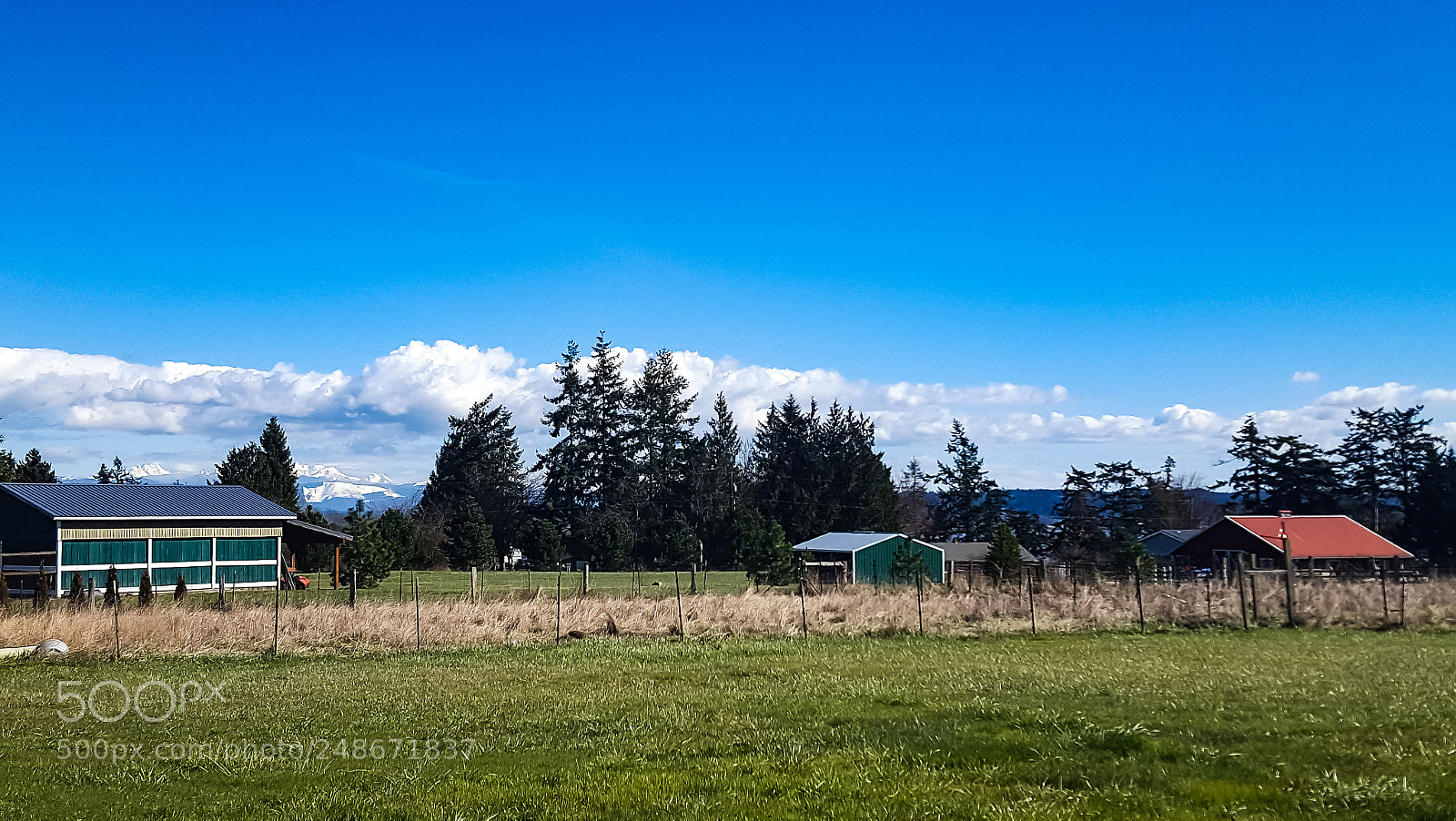 Samsung GALAXY S6 edge sample photo. Homestead view photography