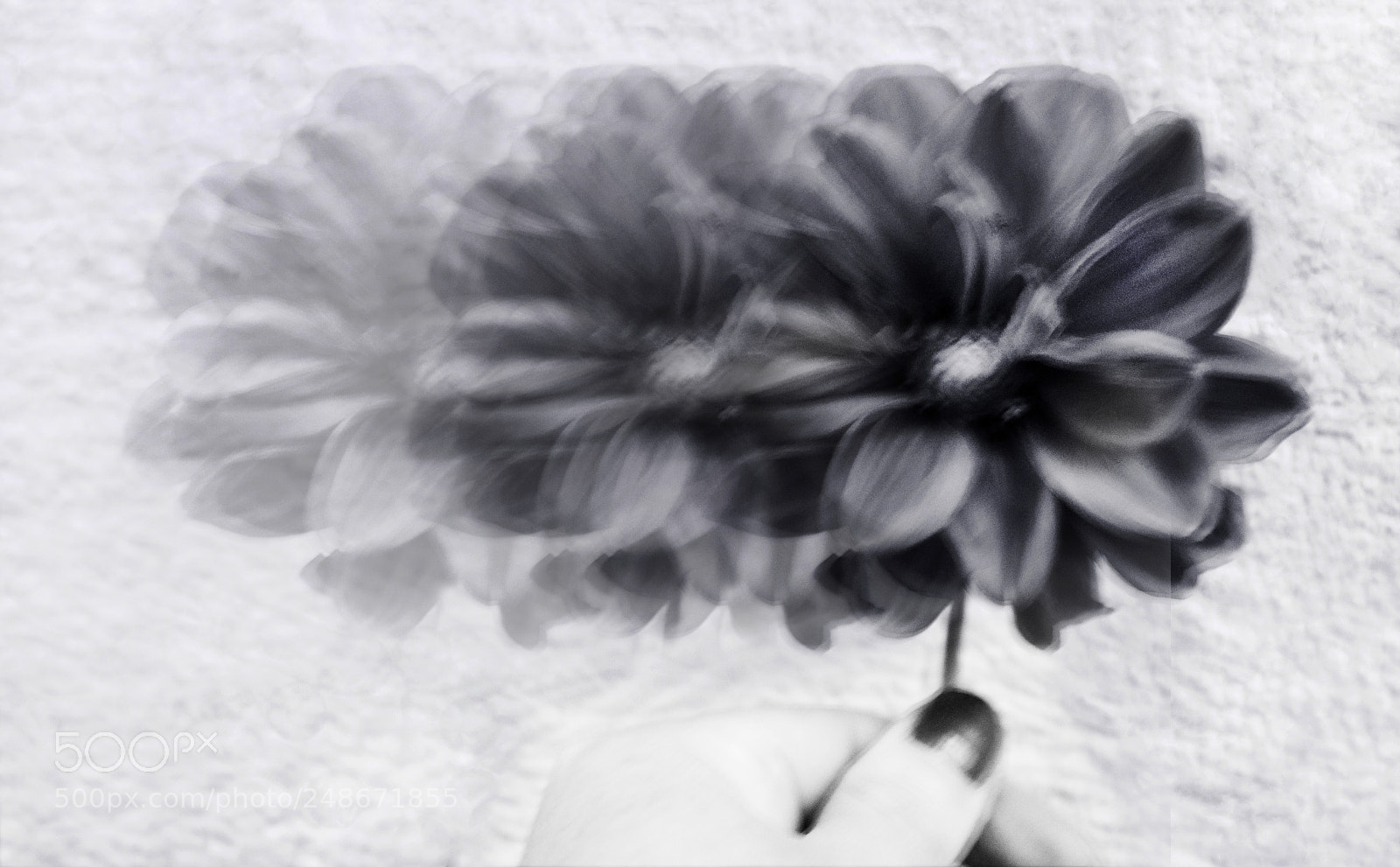 Nikon D5000 sample photo. Espectros photography