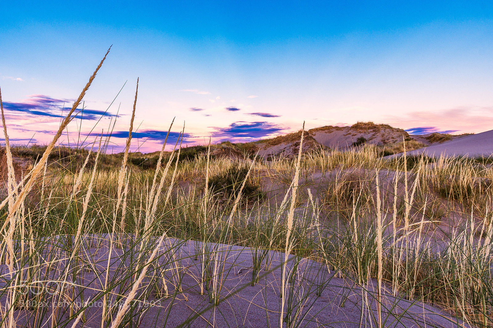 Nikon D7200 sample photo. Madryn en los medanos photography