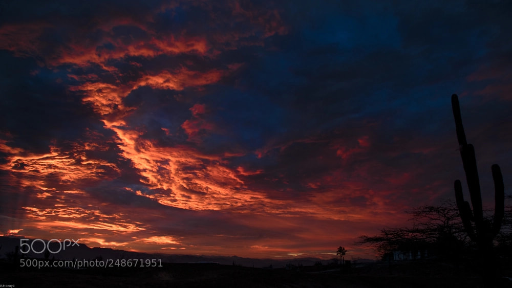Sony a7R II sample photo. El desierto!! photography
