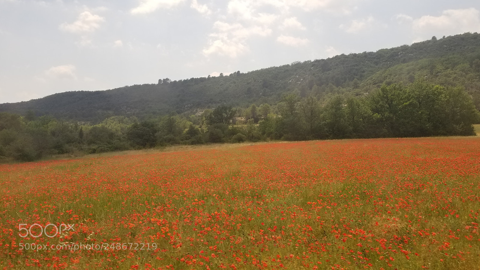 Samsung Galaxy S8 sample photo. Field in france photography
