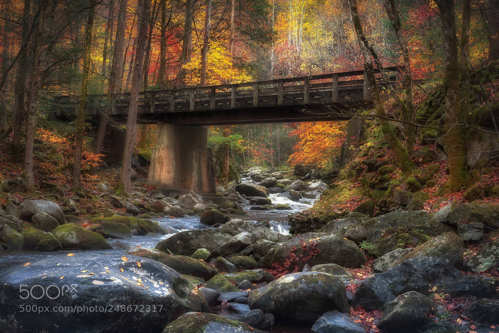Sony a7R sample photo. The bridge, late october photography