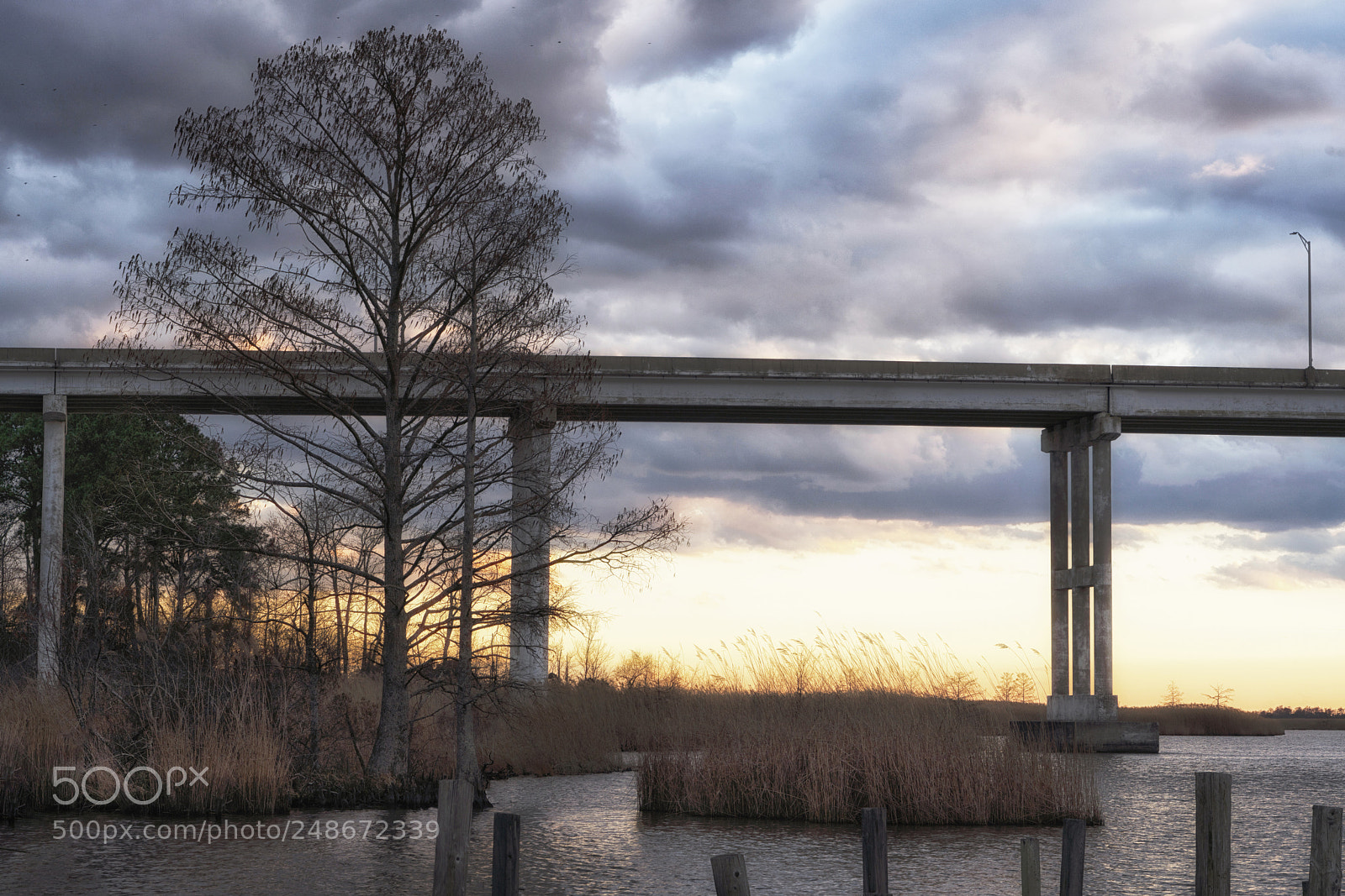 Sony a7R III sample photo. Old pungo ferry bridge photography