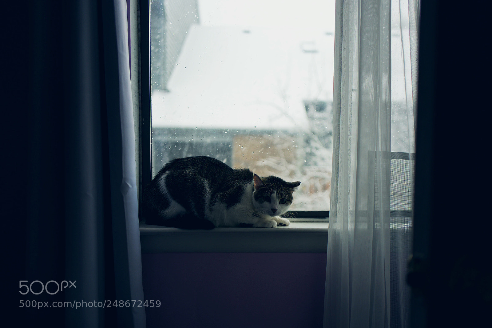 Leica Q (Typ 116) sample photo. Untitled photography