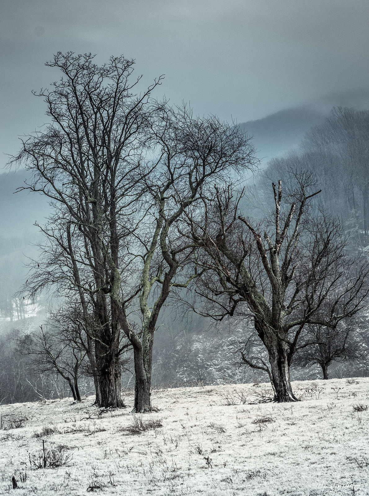 Nikon D7100 sample photo. Winter’s last hurrah photography