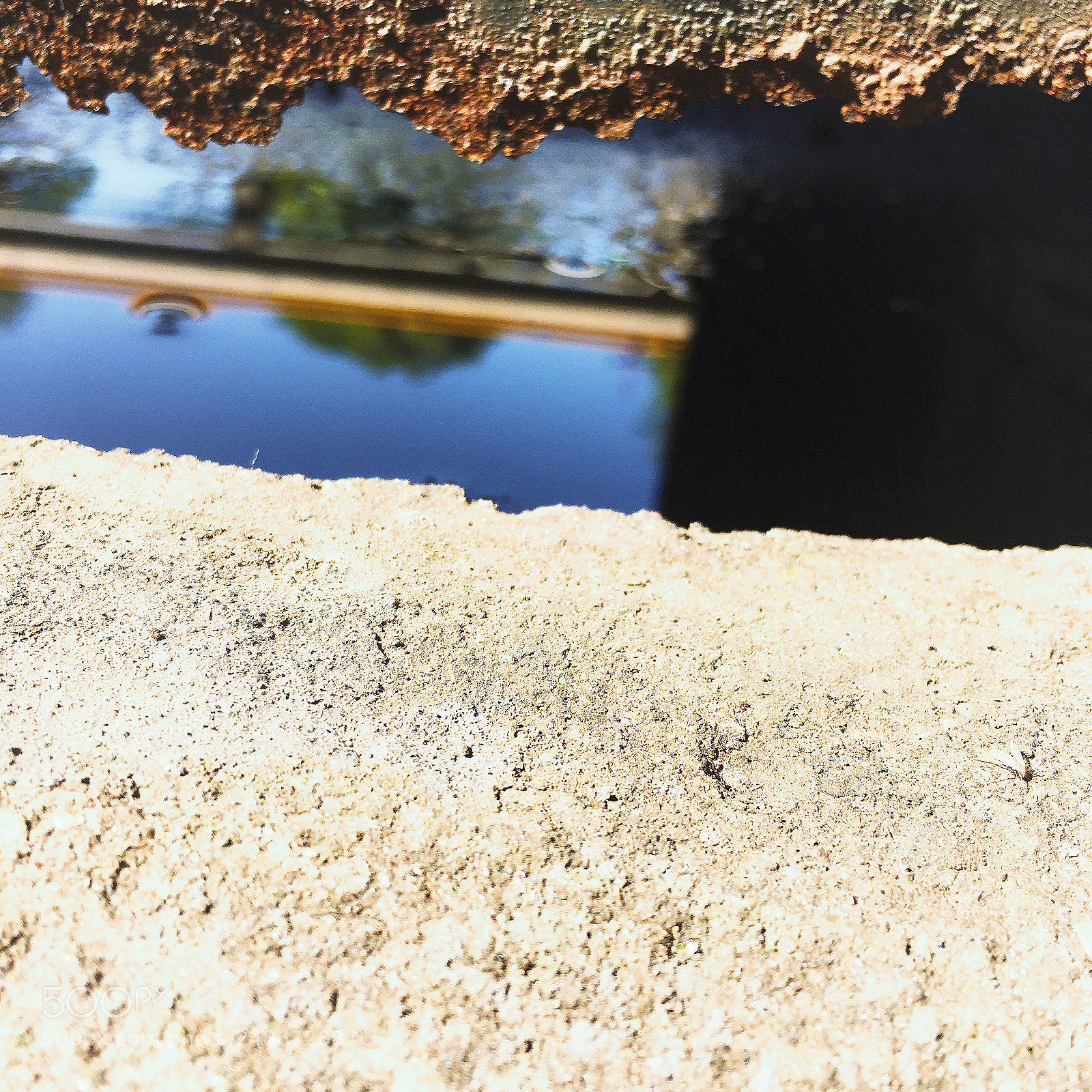 Apple iPhone 6s sample photo. 色彩 photography